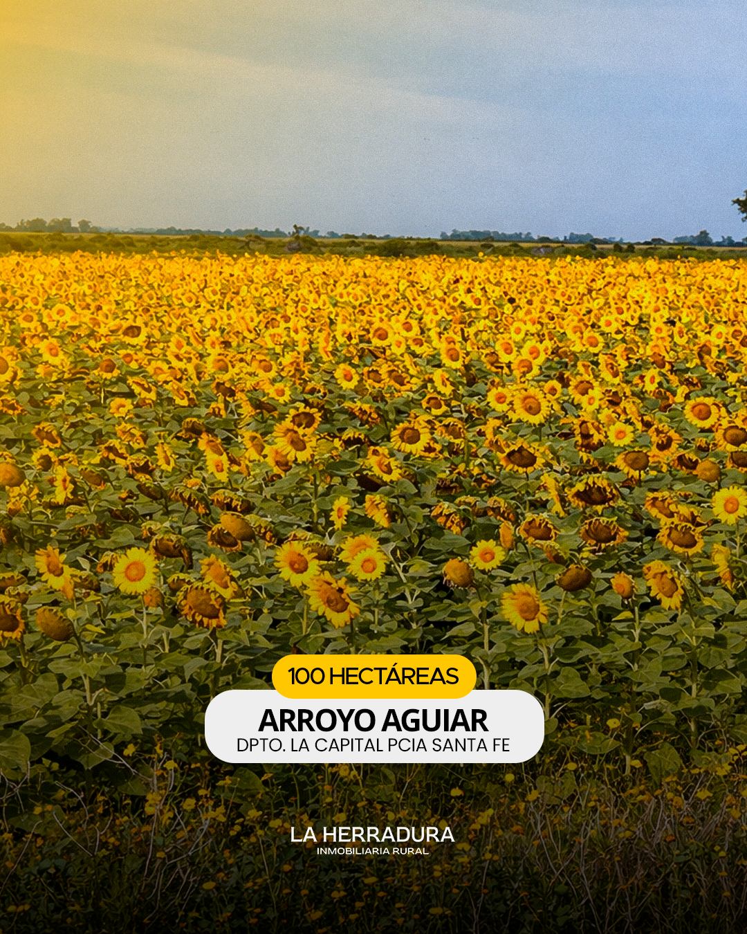 Arroyo Aguiar 100 Has agrícola/ganad/turimo - Campo en venta - Imagen 5