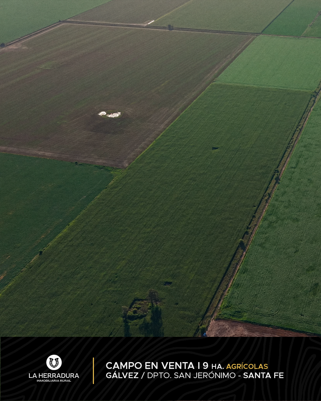 Gálvez 9 Has agrícola - Campo en venta - OPORTUNIDAD - Imagen 4