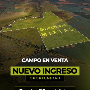 Gessler 80 Has mixtas - Campo en venta - OPORTUNIDAD