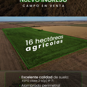 Santa Clara de Buena Vista 16 Has agrícolas - Campo en venta - NUEVO INGRESO