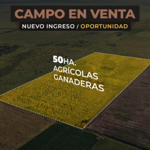 Bdo de Irigoyen 50 Has agrícola-ganaderas - Campo en venta - OPORTUNIDAD