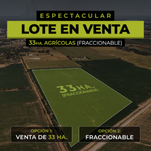 San Lorenzo 33 Has o fraccionable - Lote zona industrial - Espectacular ubicación
