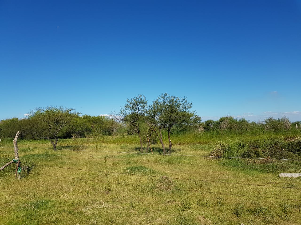 AROCENA - Lote en venta 112x56 mts - Frente Laguna - Imagen 5