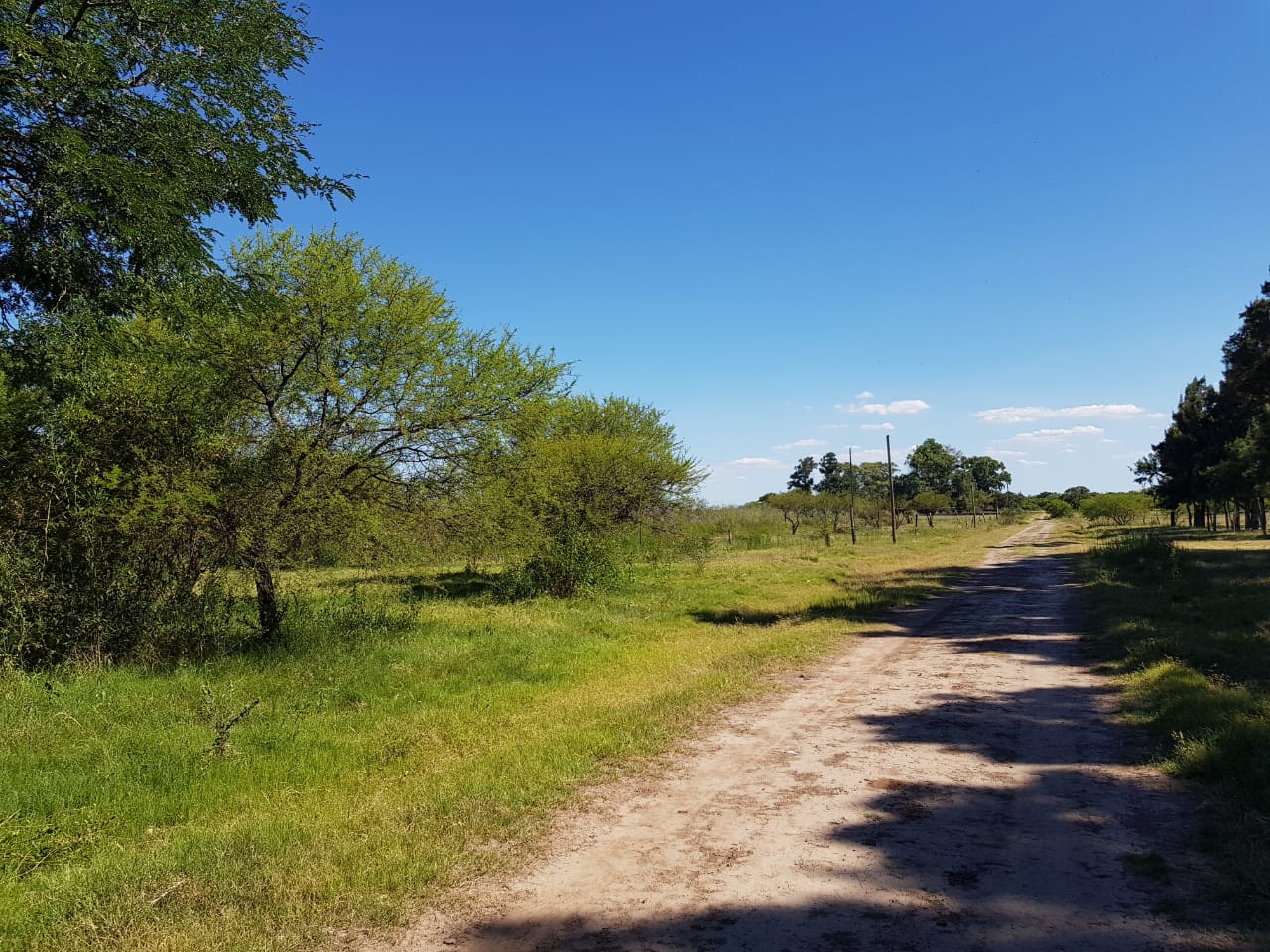 AROCENA - Lote en venta 112x56 mts - Frente Laguna - Imagen 3