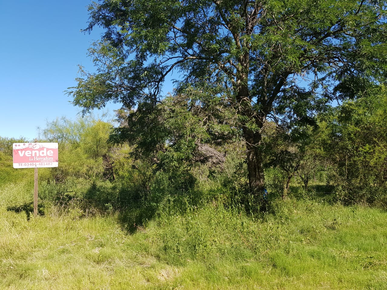 AROCENA - Lote en venta 112x56 mts - Frente Laguna - Imagen 4