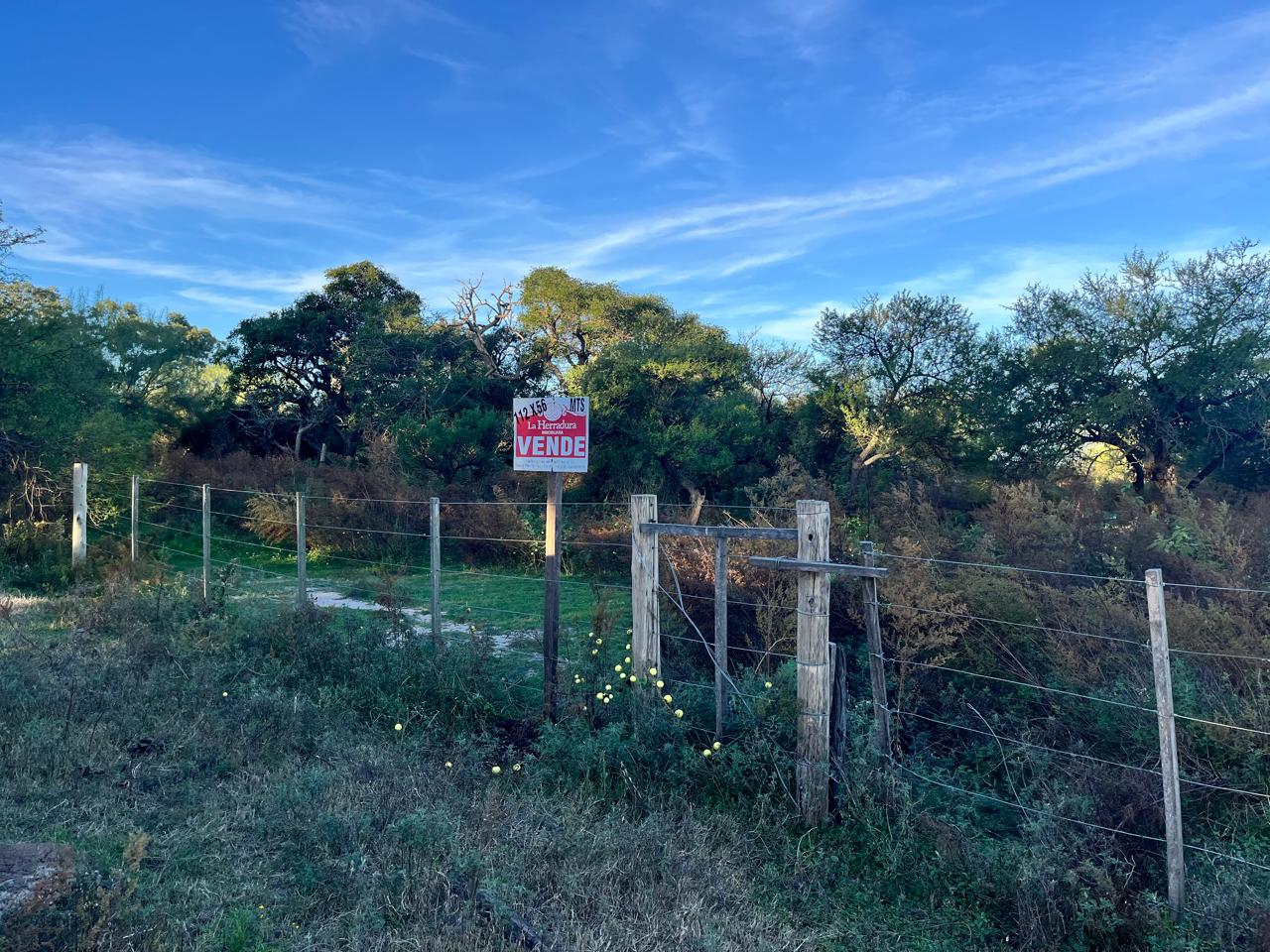 AROCENA - Lote en venta 112x56 mts - Frente Laguna - Imagen 8