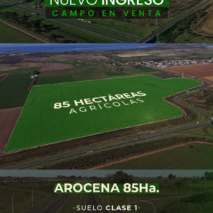 Arocena 85 Has agrícolas - Frente autopista y ruta 80 - Campo en venta - NUEVO INGRESO